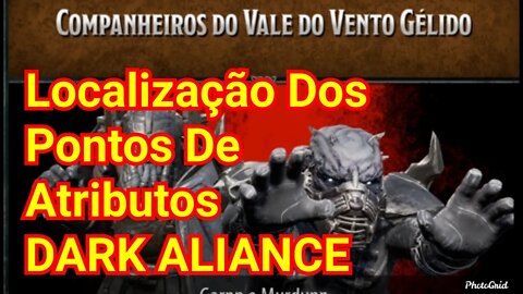 DARK ALIANCE localização dos pontos de atributos companheiro do vale do vento gelido