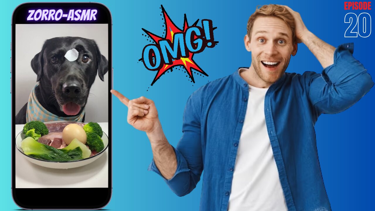 😋 Today's Yummy Adventure with my Labrador 🐶🍔 Cute Pet Daily Vlog 🐾 #Dog #Foods #ASMR 🐾😍