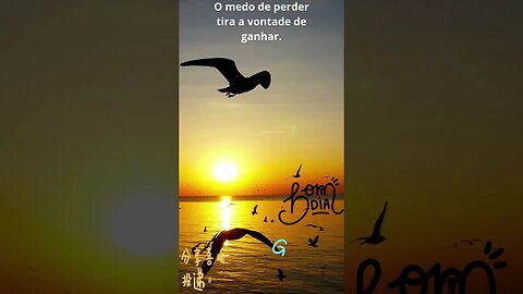 #shorts #gratidão