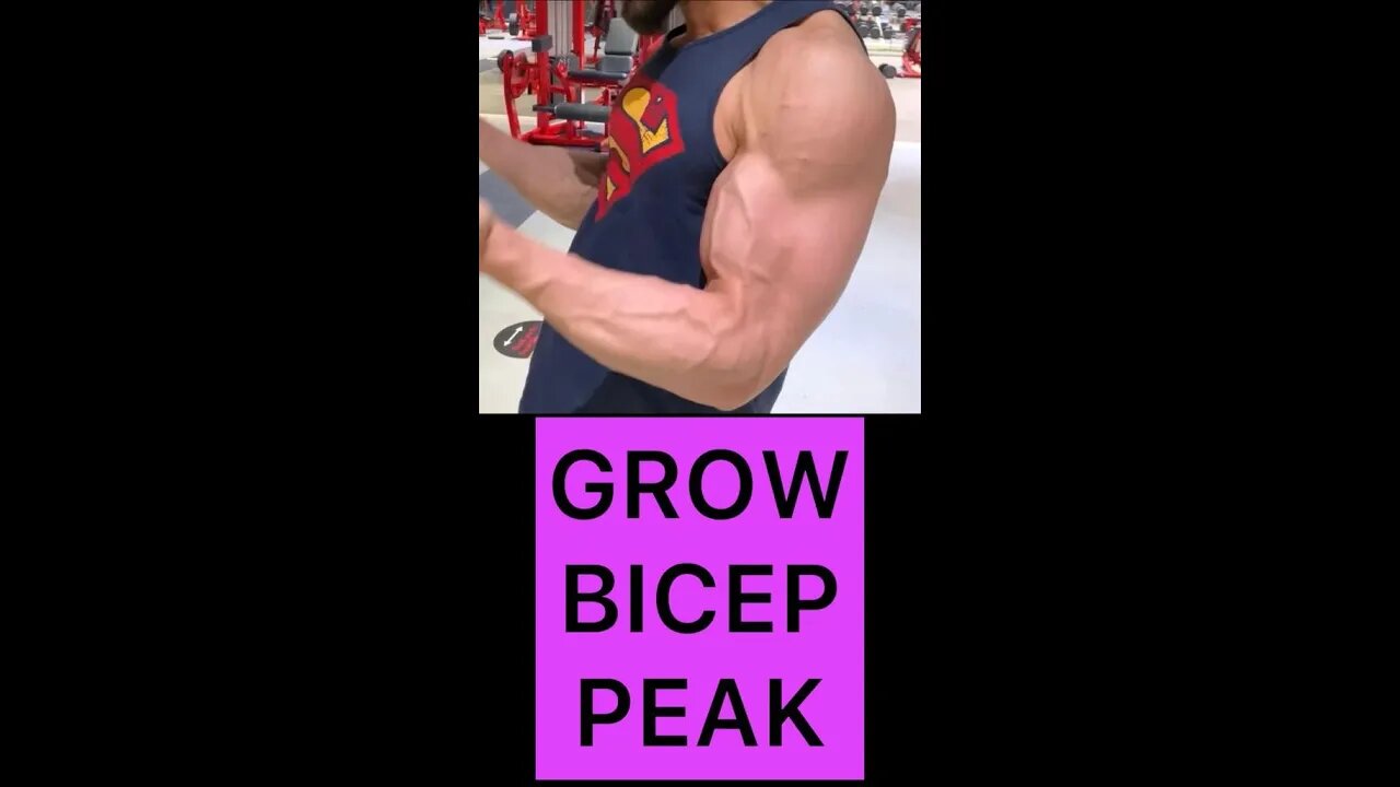 HOW TO GROW BICEPS PEAK | SPIDER CURL #shorts #youtubeshorts