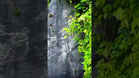 O que você acha ?