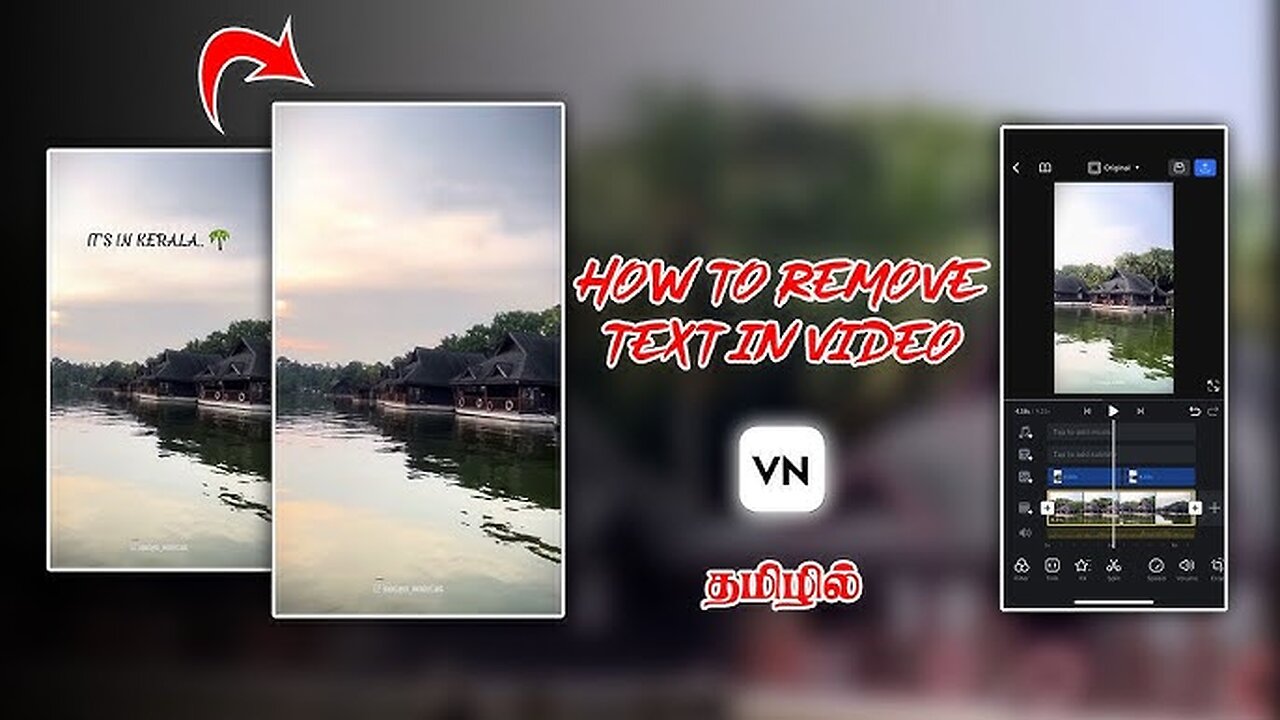 watermark remover In video