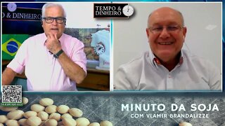 Milho perdendo fôlego com plantio da safrinha