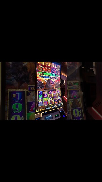 {$500/Spin Buffalo Link} #casino #hardrock #gamingshorts