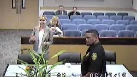 The Gray matter before Rhonda Forsburg Clark County Family Court judge 06/13/19