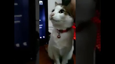 Restart Cat to Install Updates