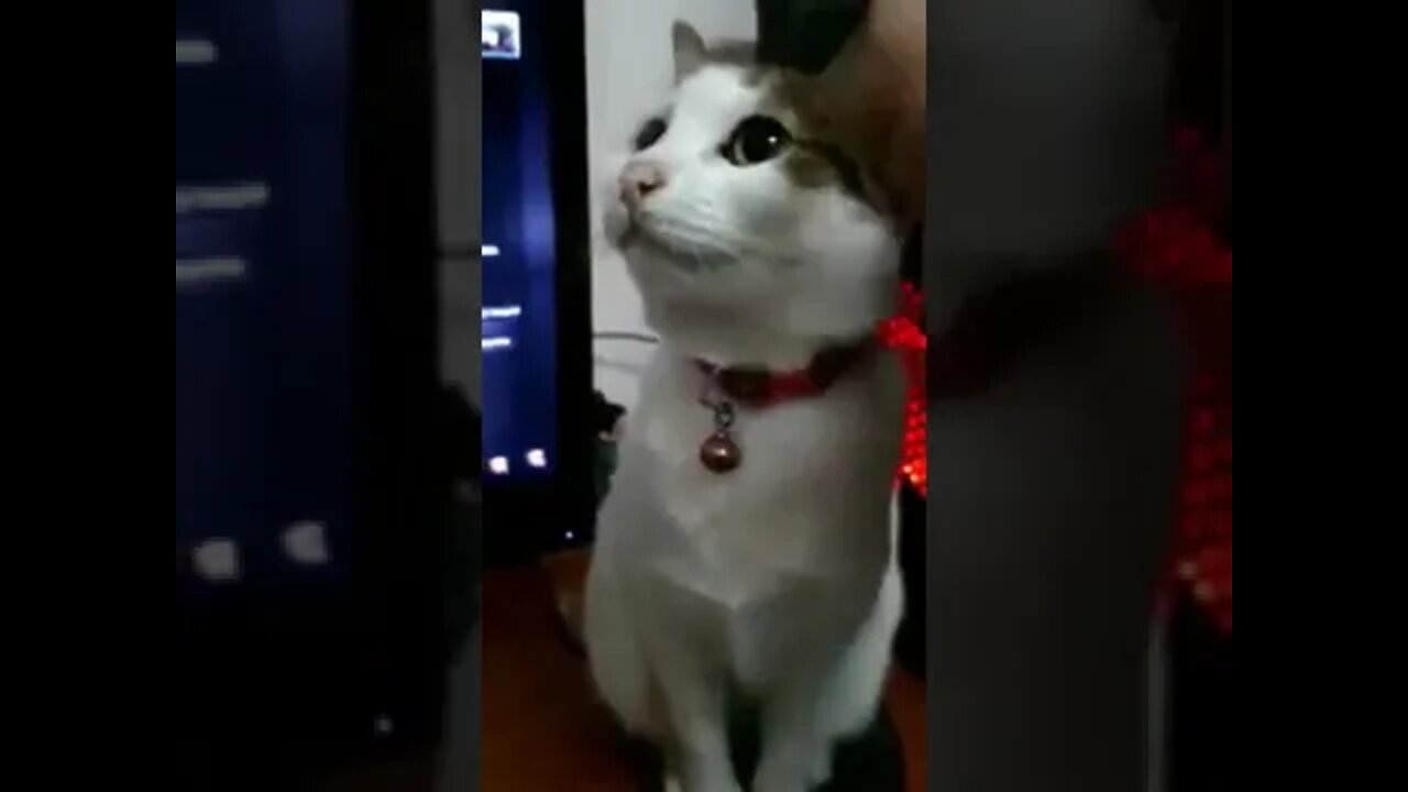 Restart Cat to Install Updates
