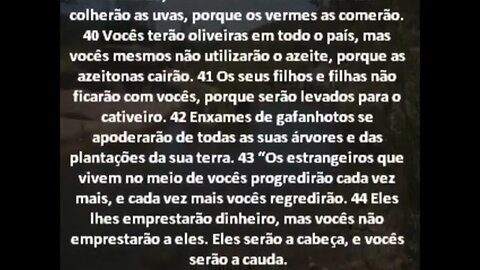 Pai" nem um "desobediente" escapara das tuas palavras, e que assim seja!!!