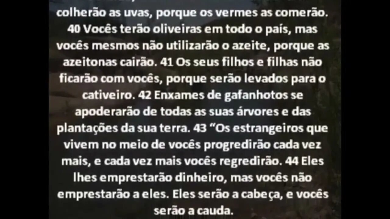 Pai" nem um "desobediente" escapara das tuas palavras, e que assim seja!!!