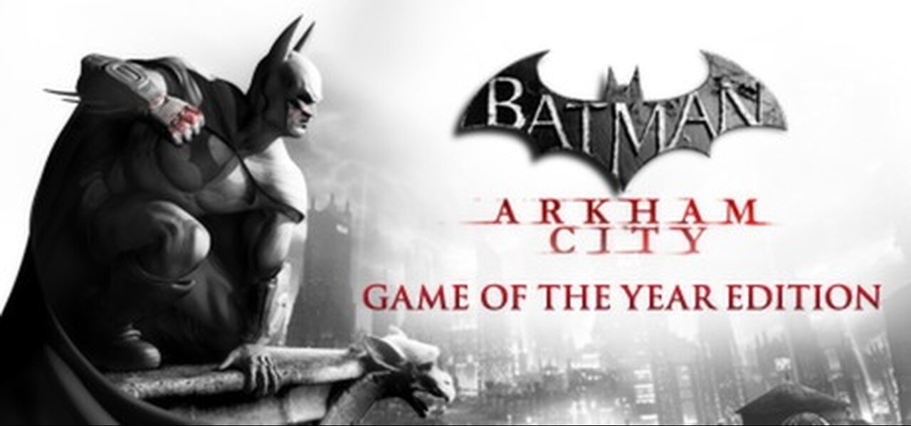 Batman Arkham City GOTY playthrough : part 13