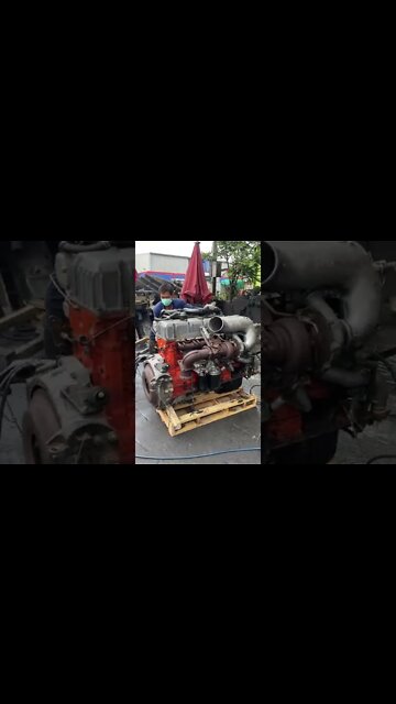 #shorts #2022 funny,prank,funjokes,dad jokes,funny memes,funny video,fun,laughing,funny animal,knock