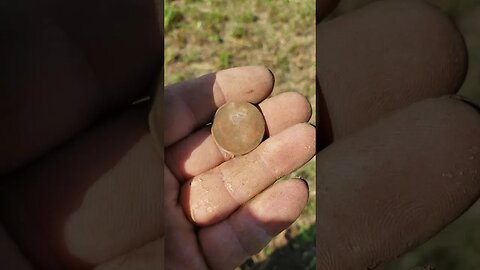 GW button?? nope #metaldetecting #treasurehunting #trending #relics #hunt #music #trump #button