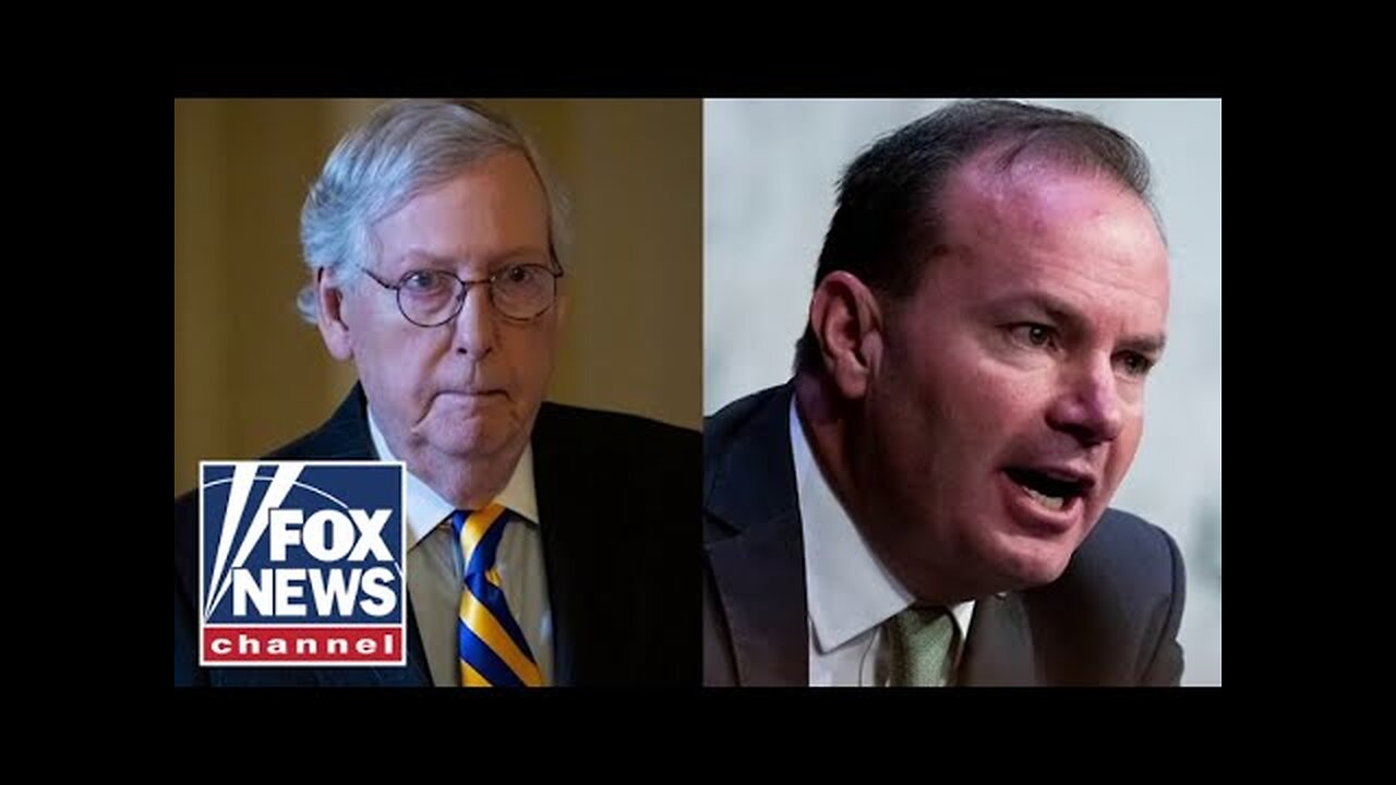'BRAND CONFUSION'- GOP senator calls on McConnell to step down over this