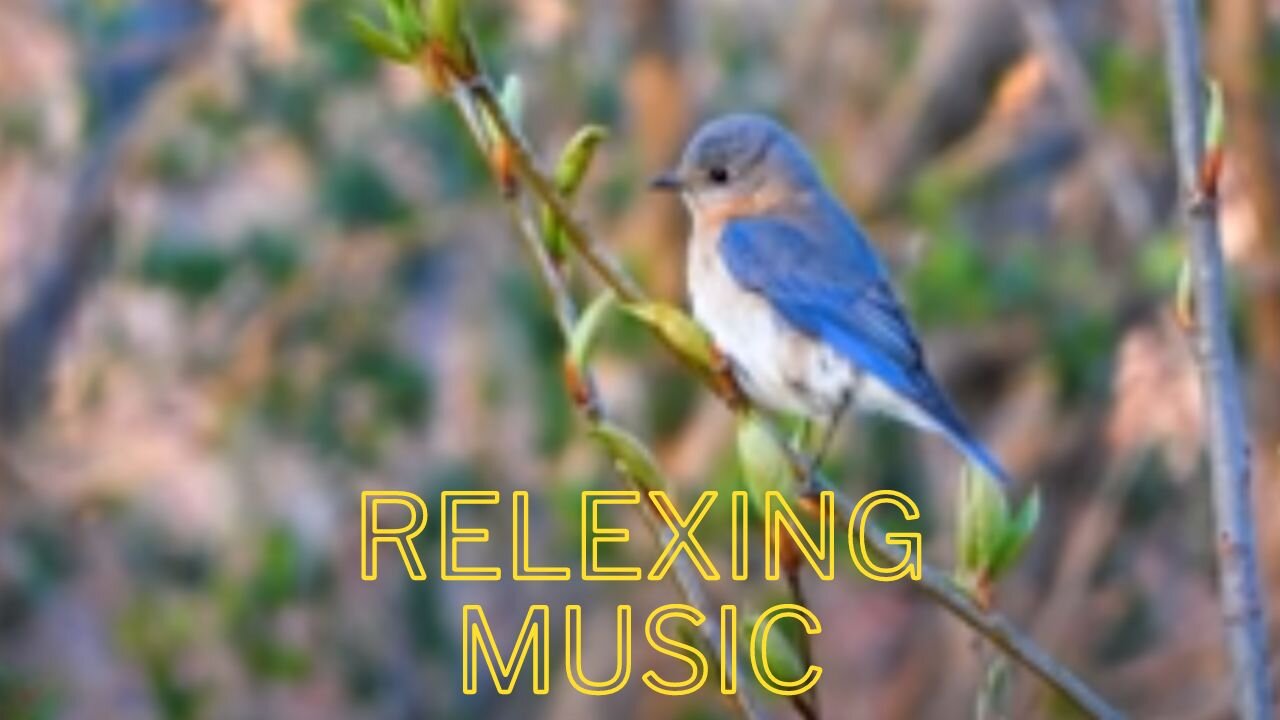 relaxing music