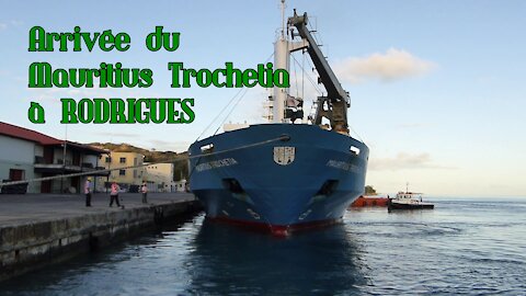 RODRIGUES: arrivée du Mauritius Trochetia