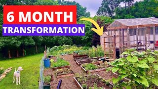 6 MONTH GARDEN TRANSFORMATION | POWER TOOLS ASMR