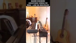 gato pianista