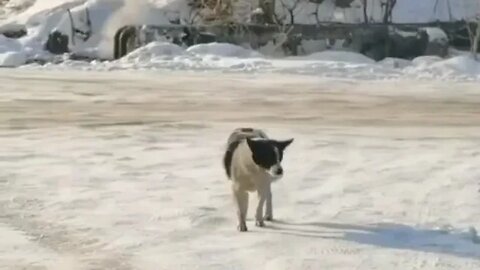 Where is it Gone? 😁😂