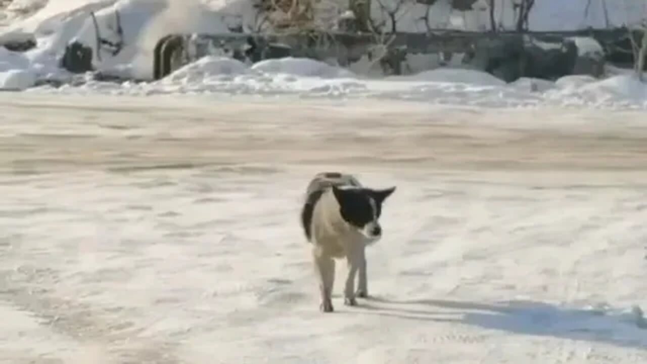 Where is it Gone? 😁😂