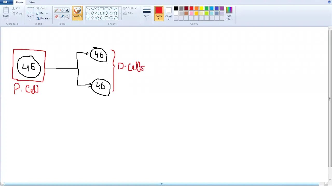 9th Bio Mitosis