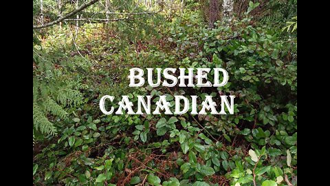 Bushcraft | Build Emergency Shelter | Using Simple Tools