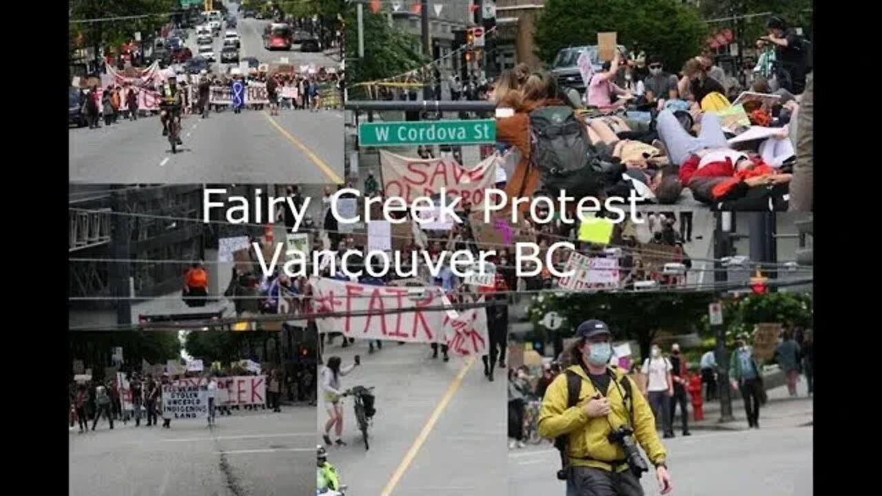 vancouver fairy creek protest