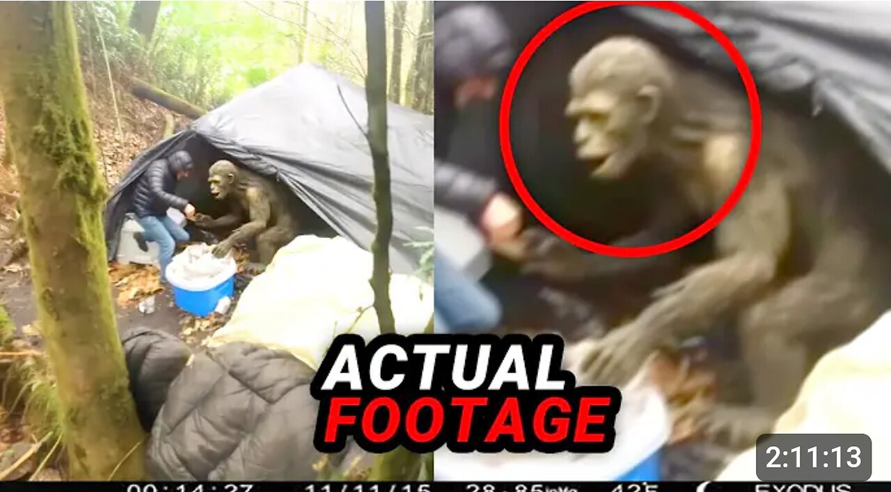 These TERRIFYING Camping Videos Will DISTURB You!