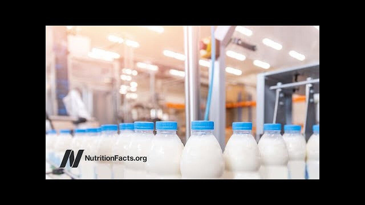 Could Lactose Explain the Milk - Parkinson’s Disease Link