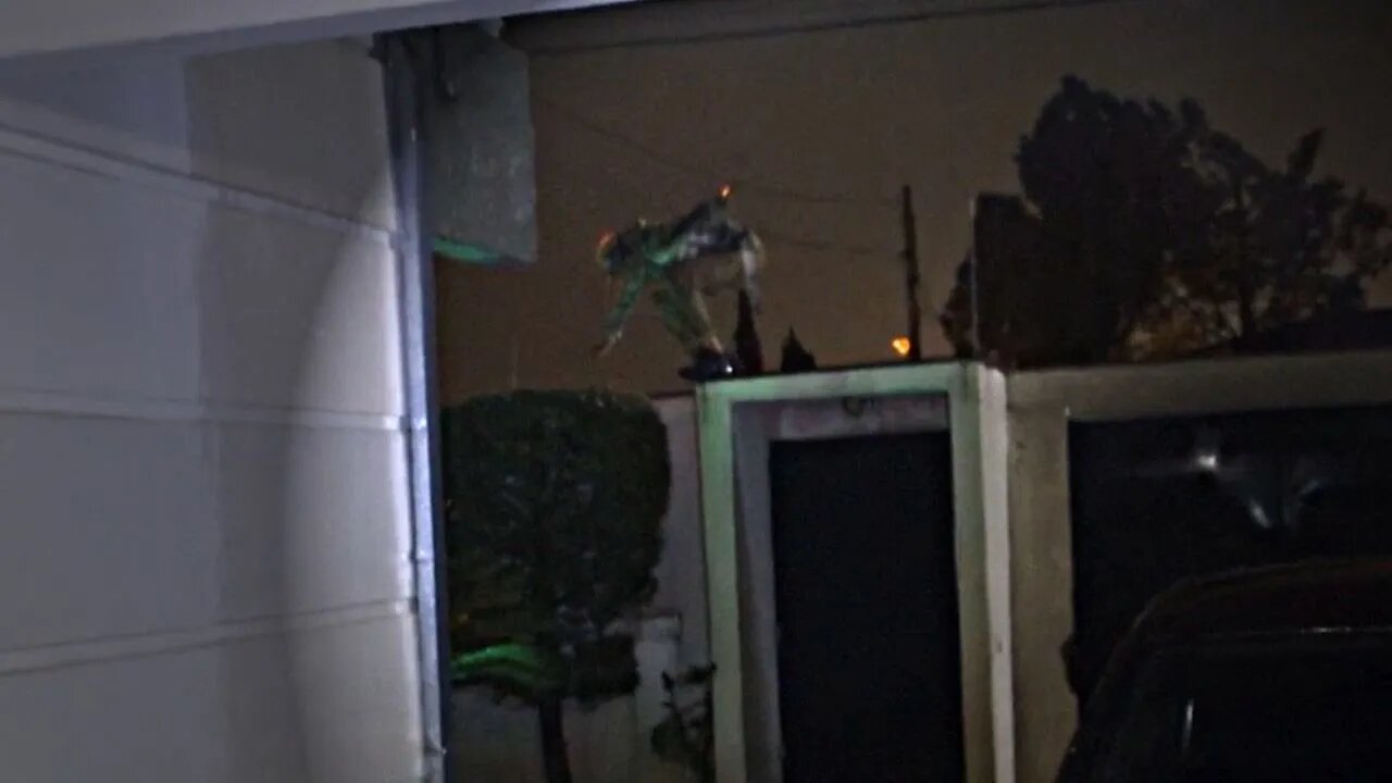 CANGACEIRO PULOU O MURO E INVADIU MINHA CASA