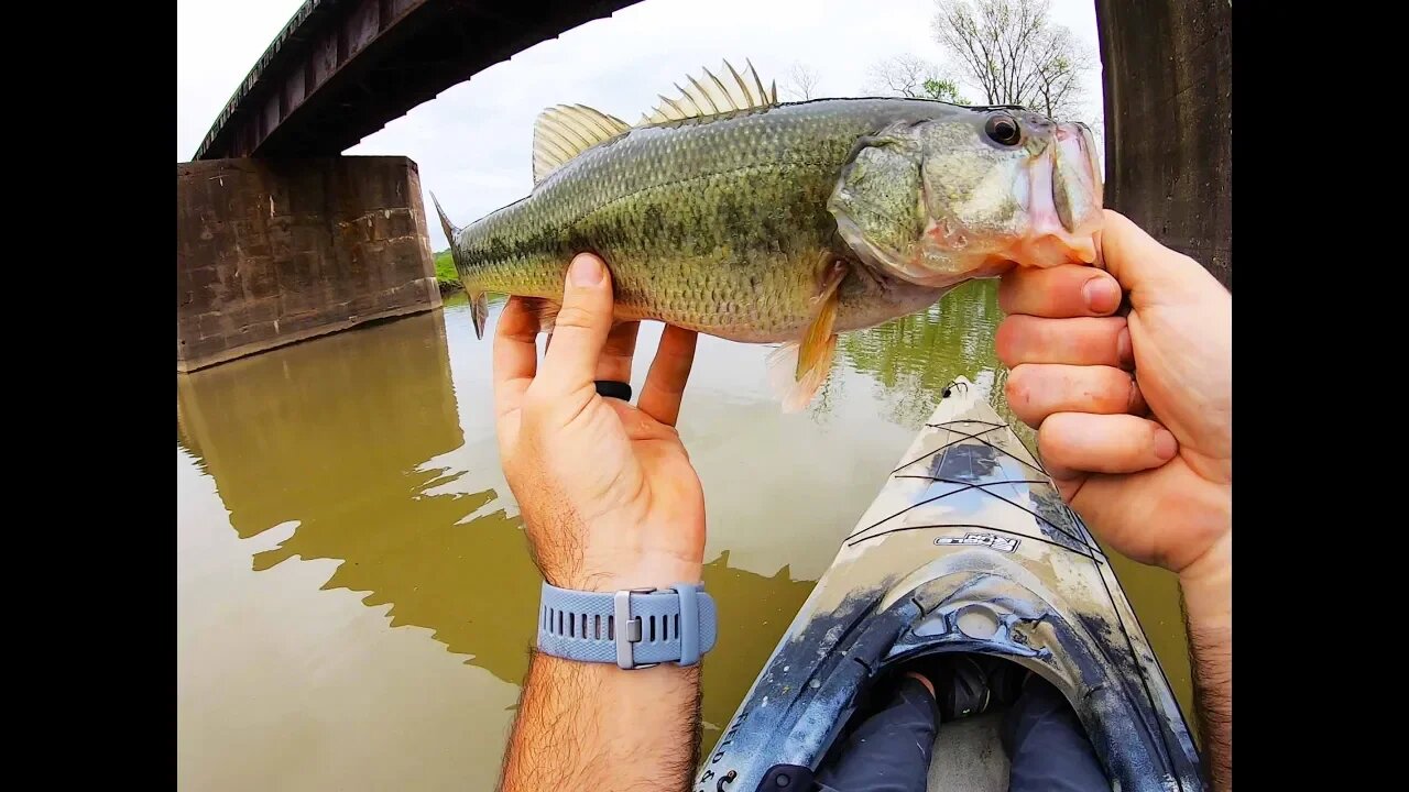 Fishing under railroad tracks - topwater SMASH!