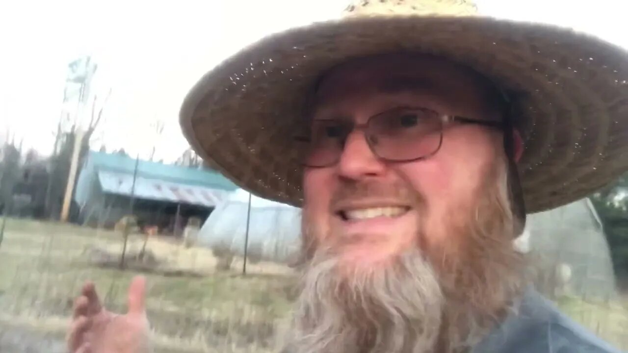 A Message About Homesteading Before The Sun Sets