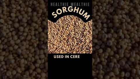 sorghum benefits || Healthie Wealthie