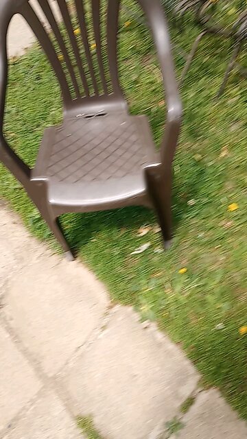 my grandma is checking out the baby squirrel that is walking across the sidewalk