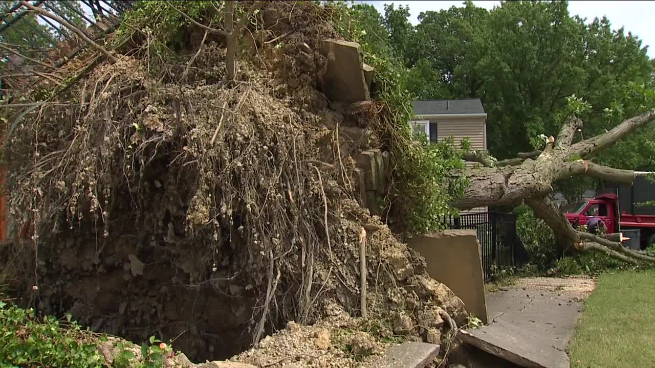 Thousands still without power after Wednesday's storm