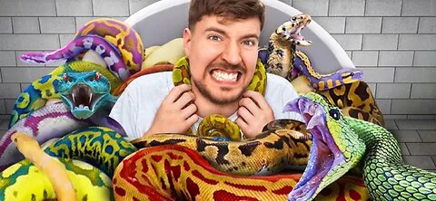 would you sit with Snakes for $10000000