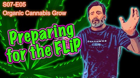 S07 E05 How To Prepare To Flip Cannabis To Flower - Lollipop, Defoliation, Top Dressing