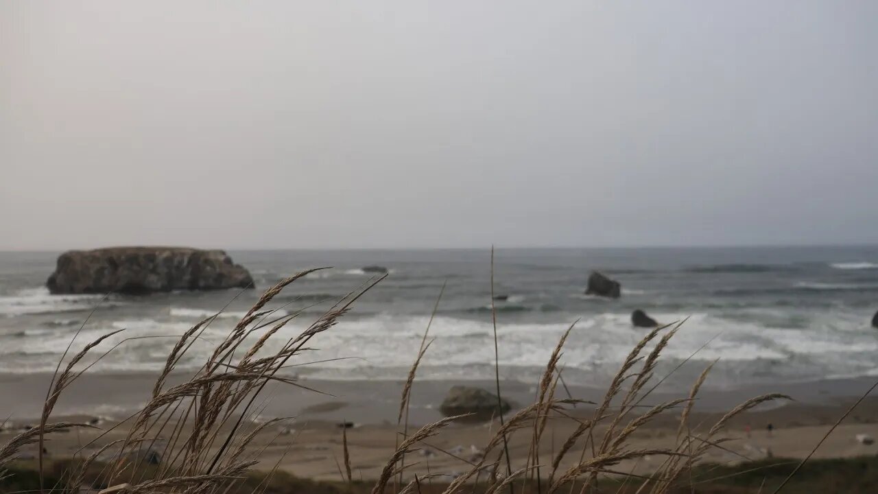 Vacation (Day 3/9) Bandon Oregon (((Kinda Buzzed)))
