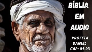 BÍBLIA EM ÁUDIO - DANIEL CAPITULO 01-03