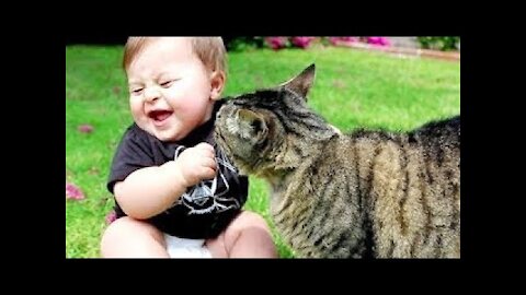 Funny Cats And Babies Compilation