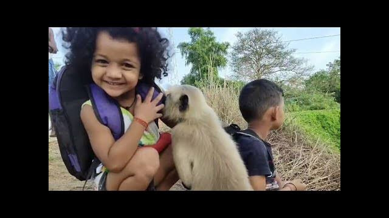 Little girl Preeti Vs Cute monkey 🐒🐒