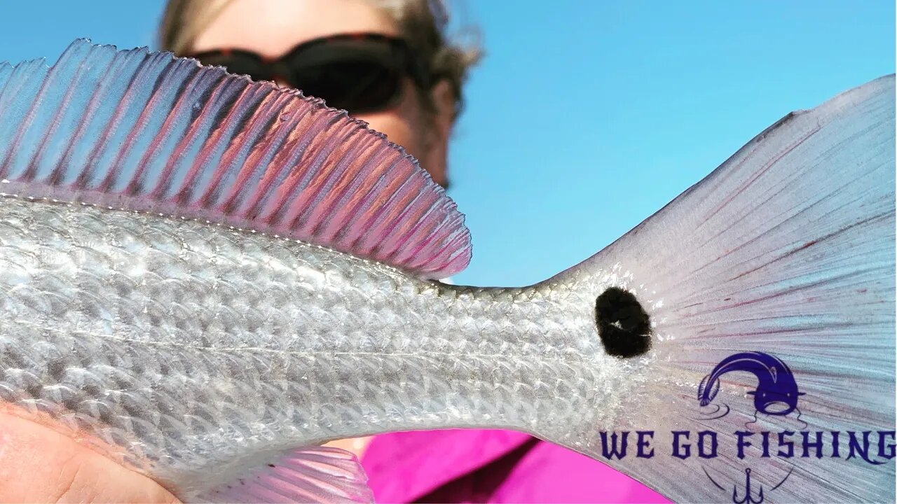 South Texas Winter Inshore Fishing - It's a Rat Race!