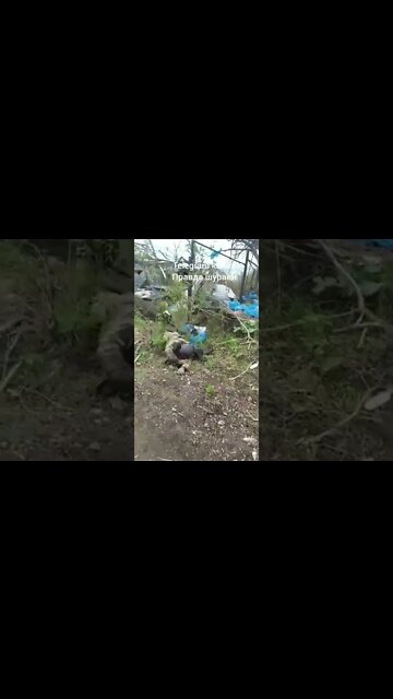 🇷🇺🇺🇦 Counter-Offensive Of Hohols Is Going Really Well Pt.2