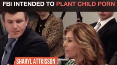 SHARYL ATTKISSON SAYS FBI INTENDED TO PLANT CHILD PORN ON HUSBAND'S COMPUTER.