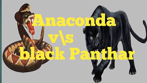 Anaconda v\s black panthar fight video