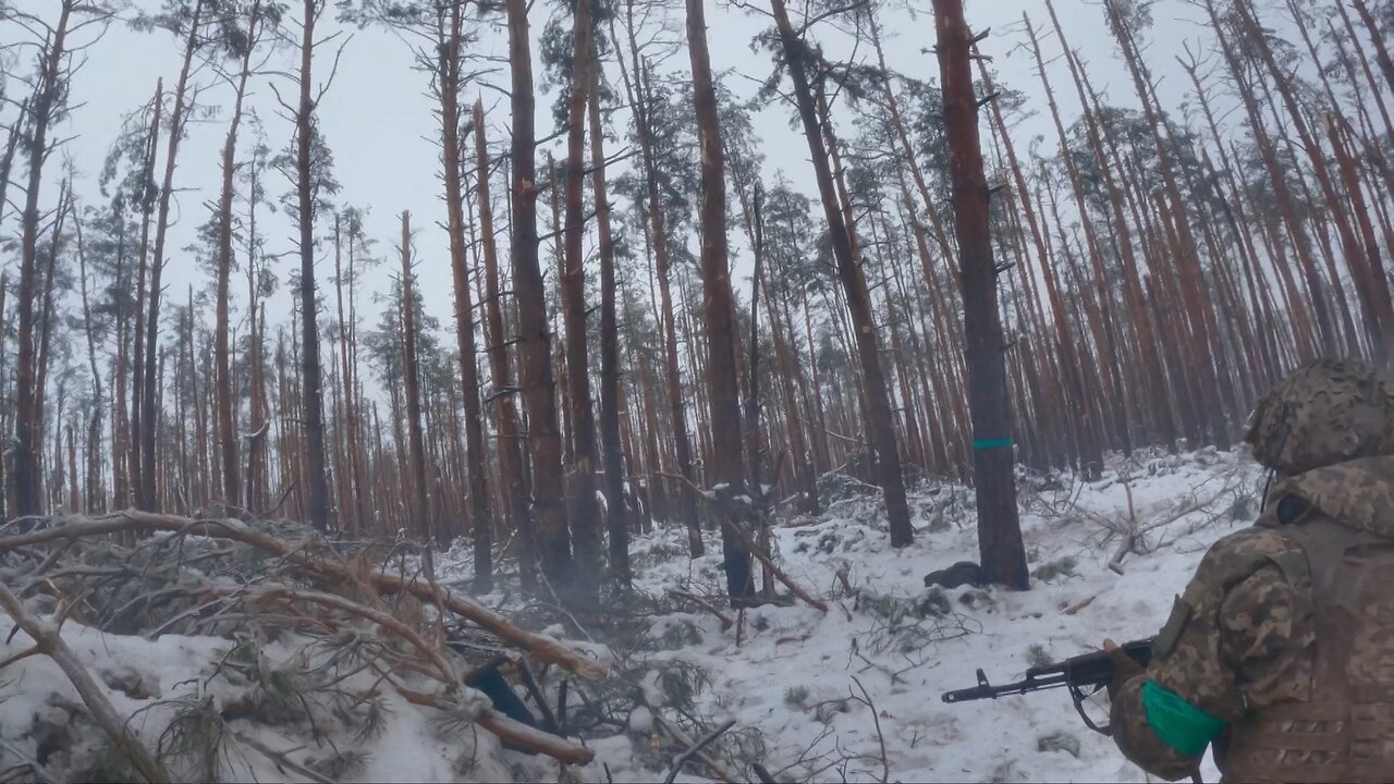 Ukraine: Enemy in the Woods