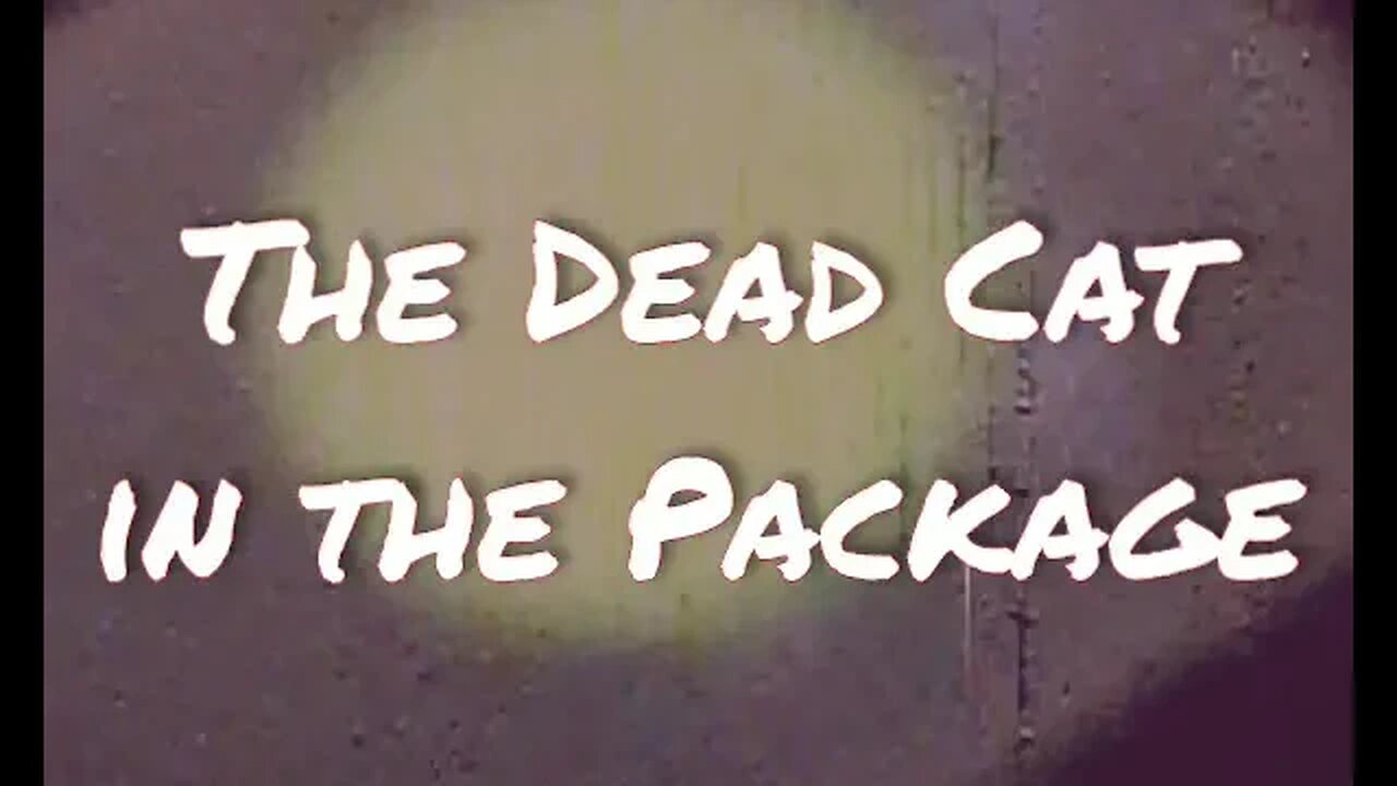 The Dead Cat in the Package - Urban Legend Archive 19