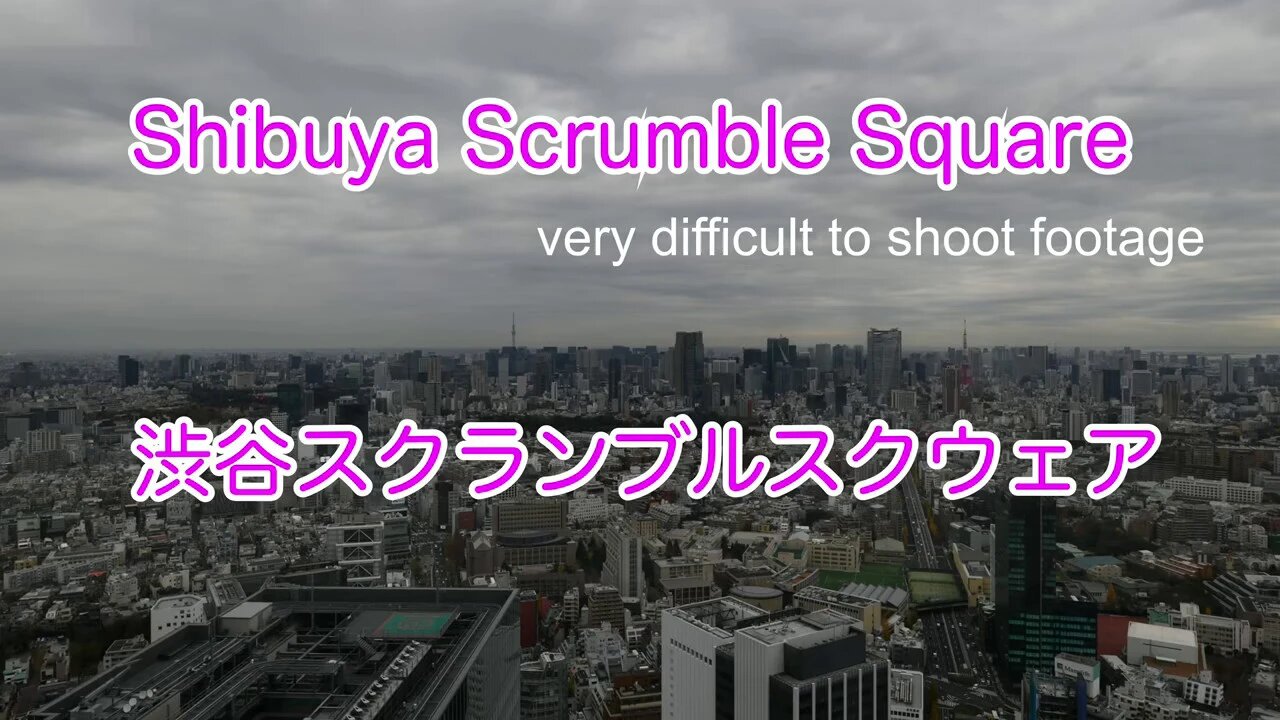 shibuya scrumble squware.