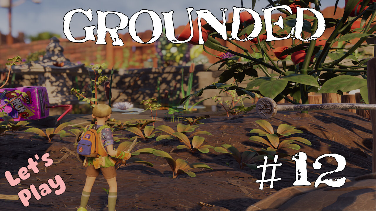 Let's Play | Grounded | #12