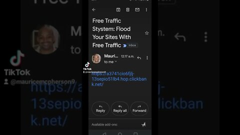 Free Traffic System