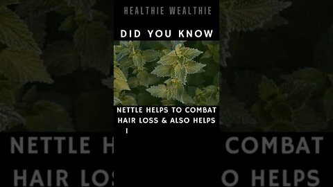 The Best Healing Herbs You Should Know || #health || #shorts || #herbs